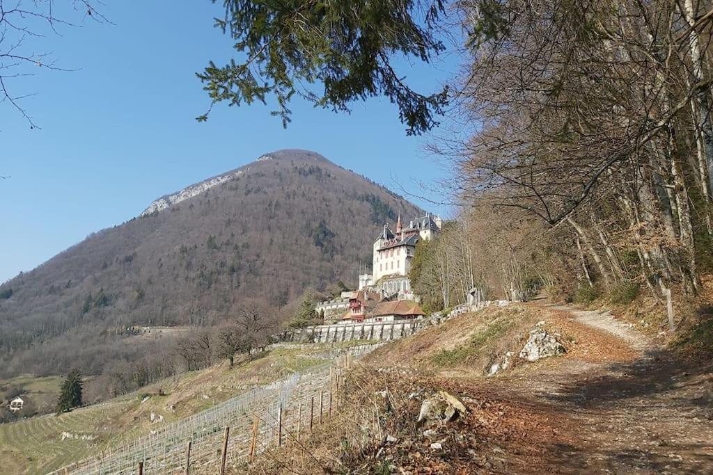 Charmant Appartement Lac D'Annecy / Ski - 6 Pers Menthon-Saint-Bernard Eksteriør billede
